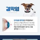 동천 동물병원 이미지