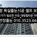 대림오토셀프타운 | 포항 욕실줄눈시공 셀프 보다 전문가가 필요한이유 대림힐타운 아파트