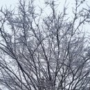 석남3동 행정복지센터 이미지