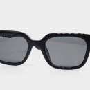 옵티컬 젠 이미지