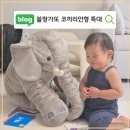 코끼리잠 | 블랑가또 코끼리 인형 특대 후기 세탁방법 부터 단점까지 한방에 정리