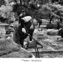 문학조경 이미지