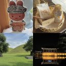 첨성로4(북) | 경주 태교여행ㅣ황리단길 미피스토어, 카페 병과점아시, 한화리조트 담톤 숙소, 동궁과 월지 야경