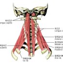 한마음정안한의원 네이버블로그