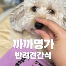 까까줄개 | 밥꾸하기 좋은 까까명가 급여후기, 반려견간식추천