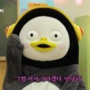 커브스 호원클럽