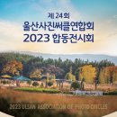 [상설기획공연] 뒤란 04. 28. | [울산] 울산문화예술회관 전시회 후기 / 이지혜작가 개인전, 야외등불 꽃 그림전