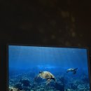 용가리 노래연습장 이미지