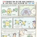 서울송파초등학교 이미지