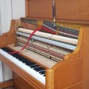 연제구-118 이미지