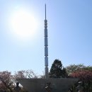 영도농원 이미지