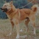 별무지개연구소 이미지