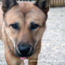 (주)림스 이미지