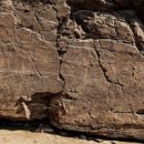 레드라인소프트 이미지