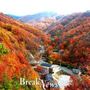 민주지산자연휴양림 이미지