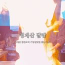 청계산식물원 | 청계산맛집 철판코스요리 특별한 날 무조건 성공하는 청계산 달판 찐후기