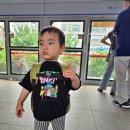 다루빌딩 이미지