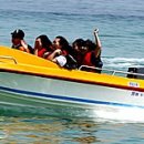 동해-단속-20 이미지