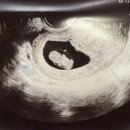 대가포도농원 이미지