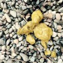 우리덕구 동물병원 이미지