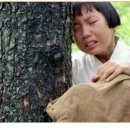 미용실공감 이미지