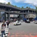 루크스 | [도쿄 시부야 맛집] 루크스 랍스터 LUKE&#39;S LOBSTER 오모테산도 캣 스트리트