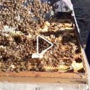 소망1농장 이미지