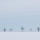 겨울 이미지