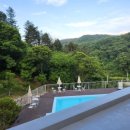 연화도감 이미지