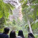 (주)자연투어 이미지