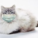 한빛종합동물병원 이미지