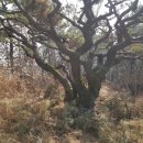 정상농장 이미지