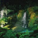 구명한의원 이미지