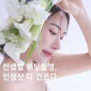 (주)빈트 | 서울 S스튜디오 웨딩촬영 후기+결과물 대공개, 헤어변형 추천!