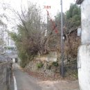 신안동11 이미지