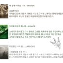 더 슈슈아(The Chouchouah)