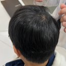 파랑새헤어샵 | 대전 둔산동 트랜드한 남자 미용실 비안이즈 추천