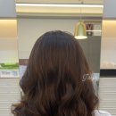 레나강헤어비스 이미지