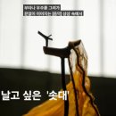 더고 Daum카페