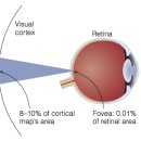 초이스패스 이미지