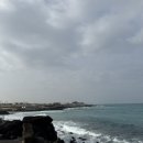 판포보름 이미지