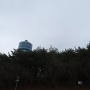 금강철새조망대 | 군산 가볼만한곳 금강 미래체험관 철새조망대