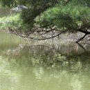 관양본신경외과의원 이미지