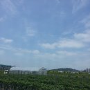 규환농장 이미지