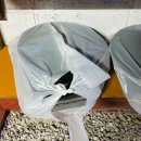 등나무민박 | 대마도 이즈하라 하루카오후나에민숙 바베큐 가능 숙박후기