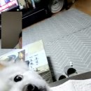 다복향마라탕삼척점 이미지