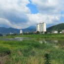 효석문학100리길 제5-2구간 이미지