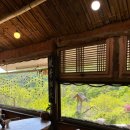 선류산장 이미지