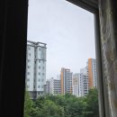 해동마을 신도브래뉴 | 양주방충망 광사동 신도브래뉴 완벽한 해충 차단 후기