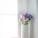 플라워모텔 이미지